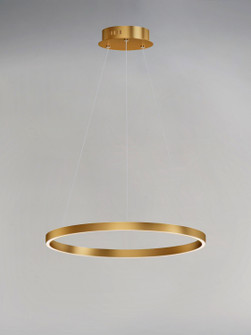 Groove WiZ LED Pendant in Gold (86|E22724-GLD)