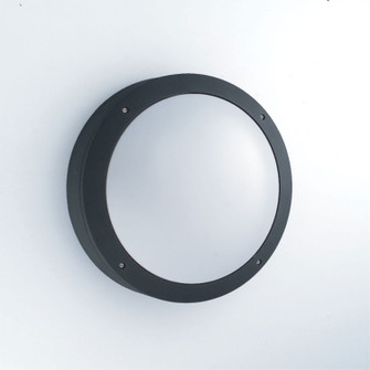 Sconce Sconce in Black (40|19578-026)