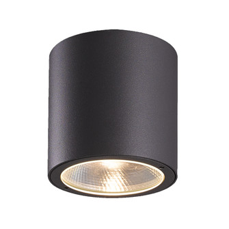 Sky LED Outdoor Flushmount in Graphite Grey (40|28287-025)