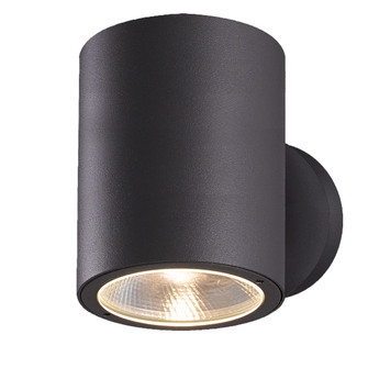 Glen LED Outdoor Wall Mount in Graphite Grey (40|28295-020)