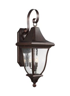 Oakmont Three Light Outdoor Wall Lantern in Patina Bronze (454|OL13102PTBZ)