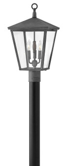 Trellis LED Post Top/ Pier Mount in Aged Zinc (13|1431DZ-LL)