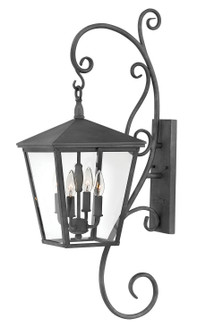 Trellis LED Wall Mount in Aged Zinc (13|1436DZ-LL)