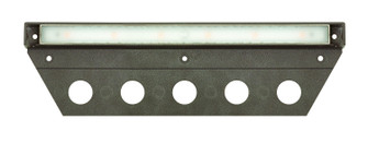 Nuvi LED Deck Sconce in Bronze (13|15448BZ)