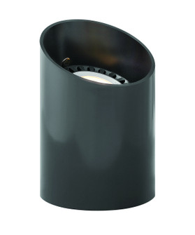 Well Light LED Well Light in Black (13|1598BK)