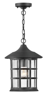 Freeport Coastal Elements LED Outdoor Lantern in Textured Black (13|1862TK)
