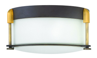 Colbin LED Flush Mount in Oil Rubbed Bronze (13|3231OZ)