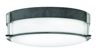 Colbin LED Flush Mount in Aged Zinc (13|3233DZ)