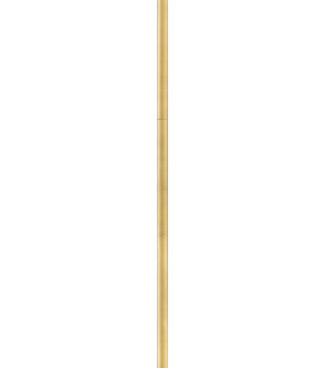 Stem Accessory Stem in Satin Brass (13|60312SA)