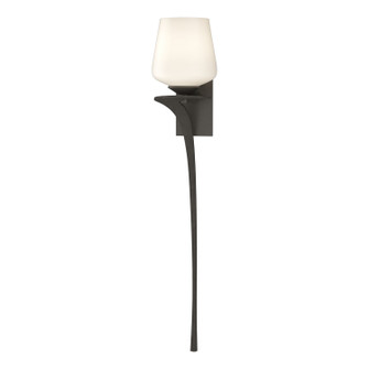 Antasia One Light Wall Sconce in Dark Smoke (39|204710-SKT-LFT-07-GG0236)