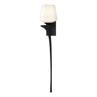 Antasia One Light Wall Sconce in Black (39|204710-SKT-LFT-10-GG0236)