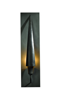 Cirque One Light Wall Sconce in Black (39|207420-SKT-10)