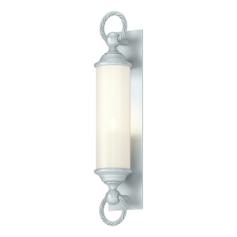 Cavo One Light Outdoor Wall Sconce in Coastal Burnished Steel (39|303080-SKT-78-GG0034)