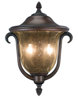 Santa Barbara Outdoor Two Light Outdoor Porch Light in Burnished Bronze (33|9000BB)