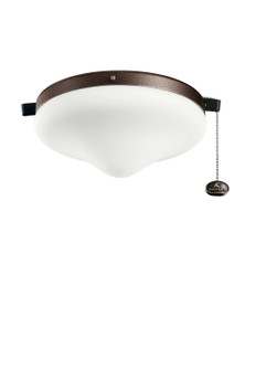 Accessory LED Fan Light Kit in Tannery Bronze Powder Coat (12|380010TZP)