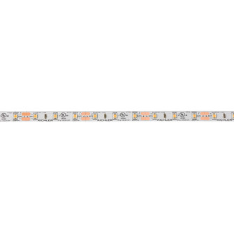 4Tl Dry Tape 12V LED Tape in White Material (Not Painted) (12|4T116S27WH)