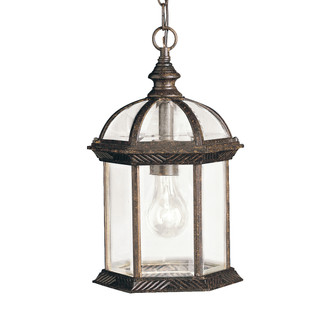 Barrie One Light Outdoor Pendant in Tannery Bronze (12|9835TZ)