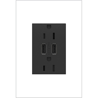 Adorne Dual-USB Outlet in Graphite (246|ARTRUSB153G4)