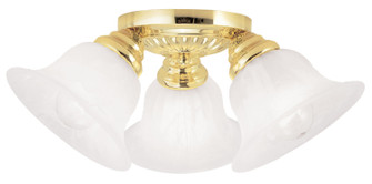 Edgemont Three Light Ceiling Mount in Polished Brass (107|1529-02)