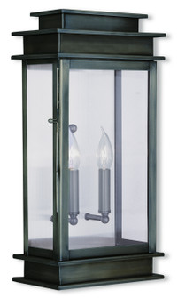 Princeton Two Light Outdoor Wall Lantern in Vintage Pewter w/ Polished Chrome Stainless Steel (107|2018-29)