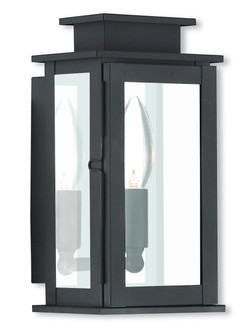 Princeton One Light Outdoor Wall Lantern in Bronze w/ Polished Chrome Stainless Steel (107|20191-07)