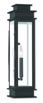 Princeton One Light Outdoor Wall Lantern in Black w/ Polished Chrome Stainless Steel (107|20207-04)
