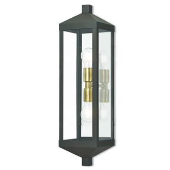 Nyack Two Light Outdoor Wall Lantern in Bronze w/ Antique Brass Cluster and Polished Chrome Stainless Steel (107|20583-07)