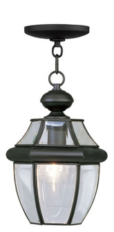 Monterey One Light Outdoor Pendant in Black (107|2152-04)