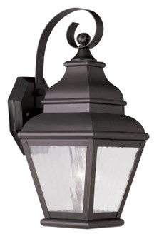 Exeter One Light Outdoor Wall Lantern in Bronze (107|2601-07)