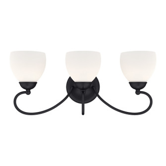 Brookside Three Light Bath Vanity in Black (107|4753-04)