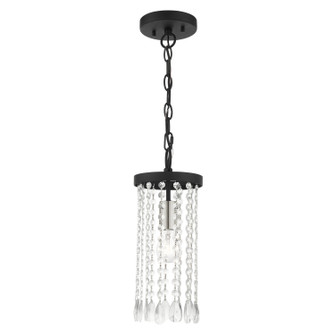 Elizabeth One Light Mini Pendant in Black w/ Brushed Nickels (107|51062-04)