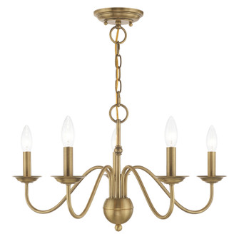 Windsor Five Light Chandelier in Antique Brass (107|52165-01)