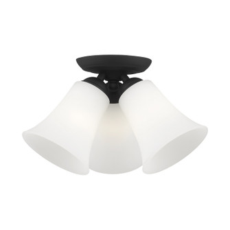 Ridgedale Three Light Ceiling Mount in Black (107|6462-04)