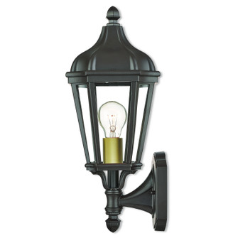 Morgan One Light Outdoor Wall Lantern in Bronze w/ Antique Gold Cluster (107|76182-07)