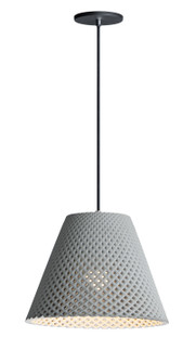 Woven One Light Pendant in Gray / Black (16|10145GYBK)