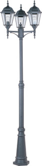 Poles Three Light Outdoor Pole/Post Lantern in Black (16|1105BK)