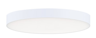 Trim LED Flush Mount in White (16|57662WTWT)