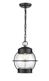 Aremelo One Light Outdoor Hanging Lantern in Powder Coated Black (59|4172-PBK)