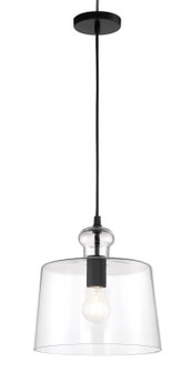 Clarity One Light Pendant in Coal (7|2335-66A)