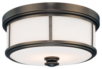 Harbour Point Two Light Flush Mount in Harbour Point Bronze (7|4365-281)