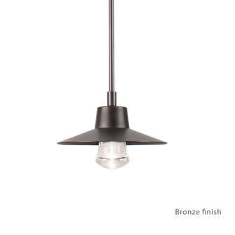 Suspense LED Outdoor Pendant in Bronze (281|PD-W1915-BZ)