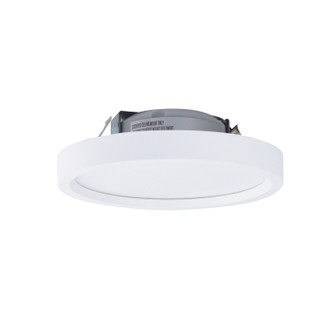 LED Surf LED Surface Mount in White (167|NLOS-R42L35WW)