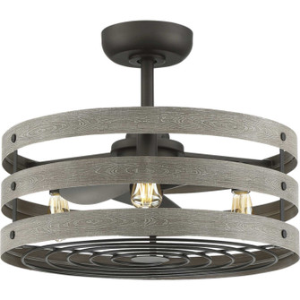 Gulliver 23''Ceiling Fan in Graphite (54|P250012-143-22)