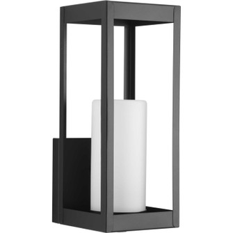 Patewood One Light Wall Lantern in Black (54|P560040-031)