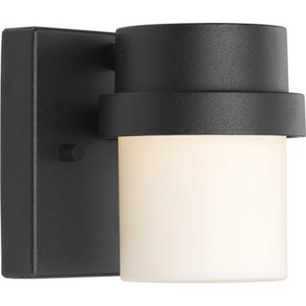 Z-1060 Led LED Wall Lantern in Black (54|P560072-031-30)