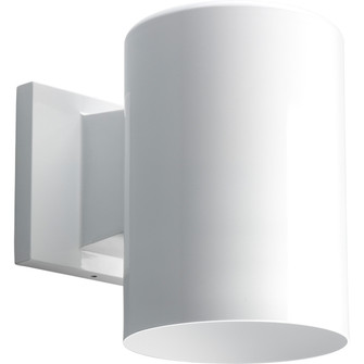 Cylinder One Light Wall Lantern in White (54|P5674-30)