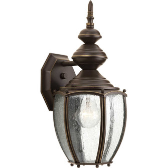 Roman Coach One Light Wall Lantern in Antique Bronze (54|P5765-20)