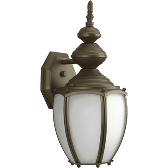 Roman Coach One Light Wall Lantern in Antique Bronze (54|P5770-20MD)