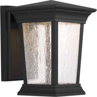Arrive LED LED Wall Lantern in Black (54|P6067-3130K9)