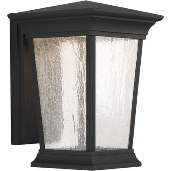 Arrive Led LED Wall Lantern in Black (54|P6068-3130K9)